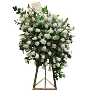 Funeraria los olivos de la 38 Barranquilla